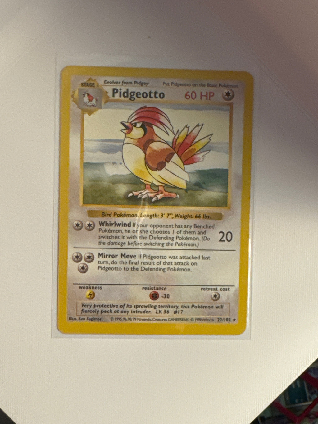 Pidgeotto 22/102 shadowless first edition base set