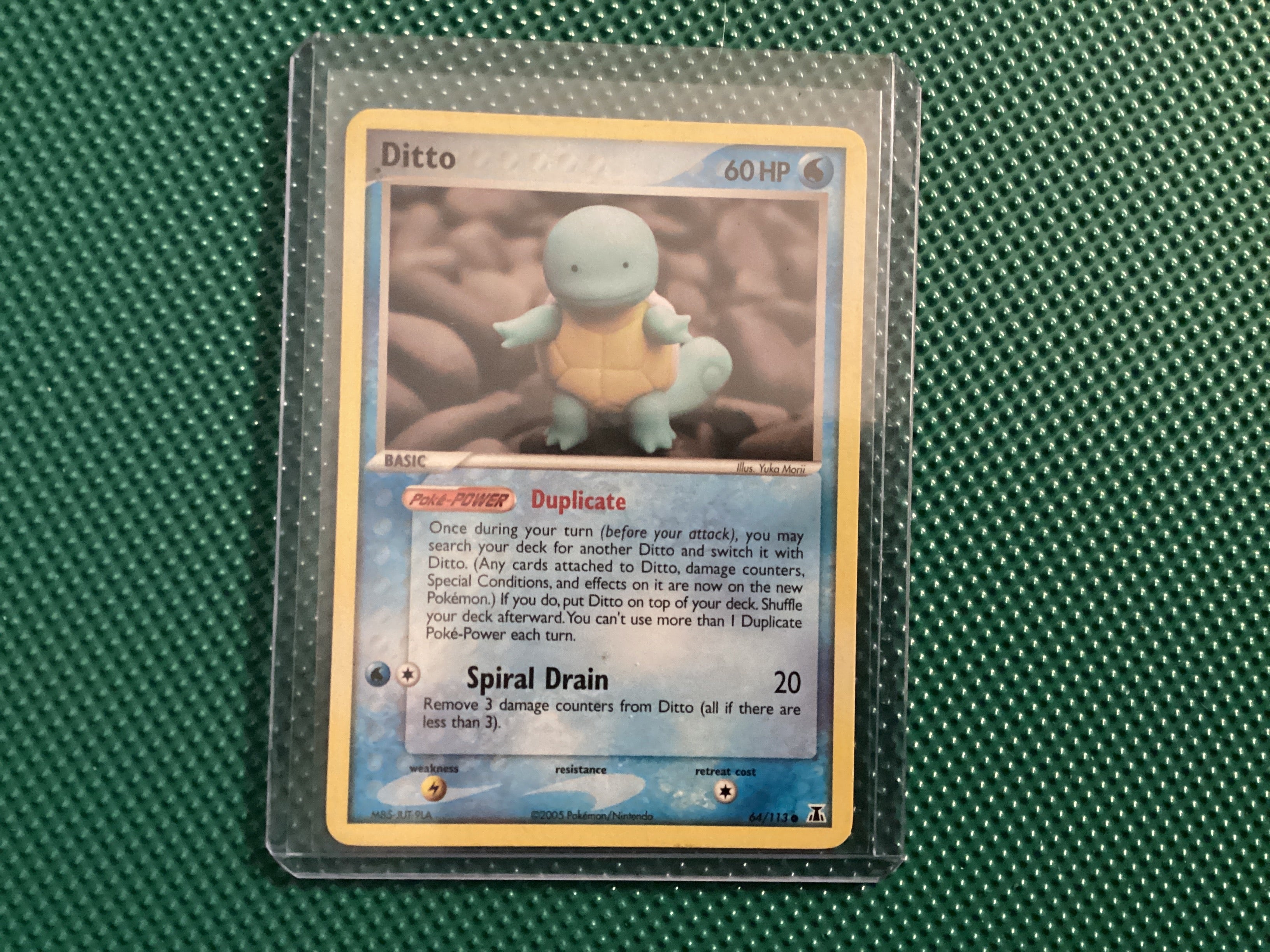 Ditto 64/113 delta species
