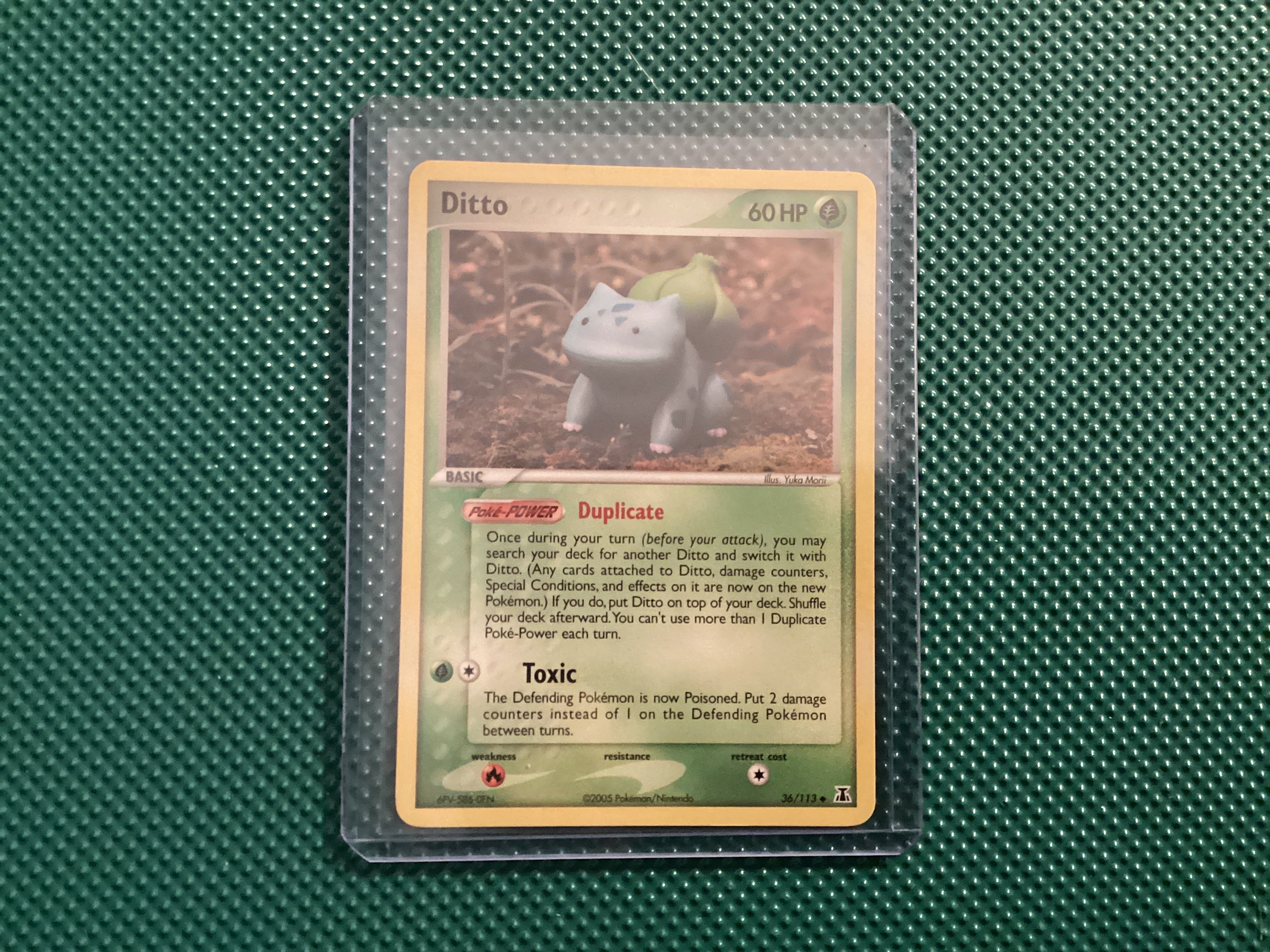 Ditto 36/113 delta species